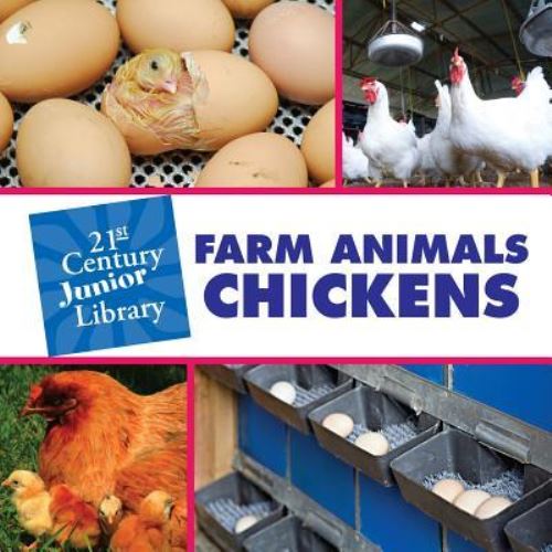 Farm Animals. Chickens