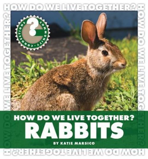 Rabbits