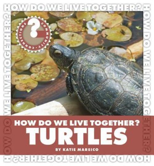 Turtles