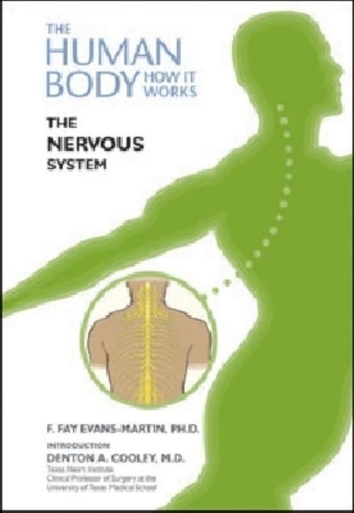 The Nervous System