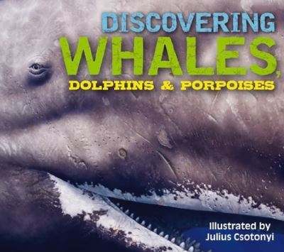 Discovering Whales, Dolphins & Porpoises