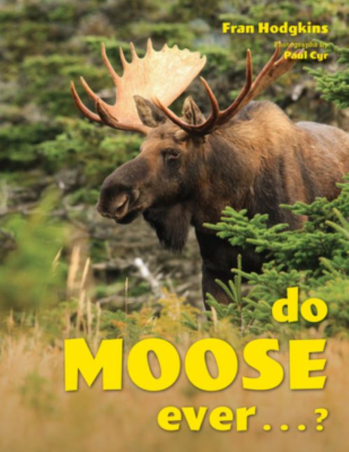 Do Moose Ever ...?
