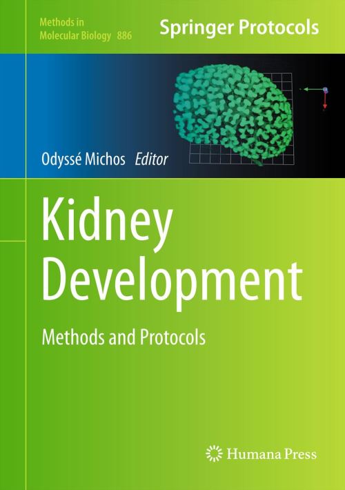 Kidney Development