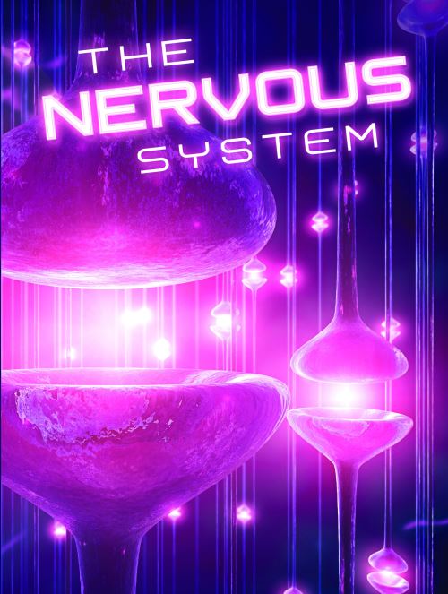 The Nervous System