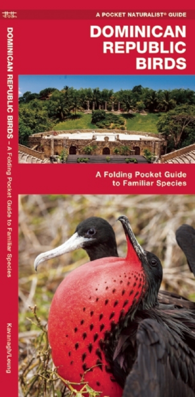 Dominican Republic Birds