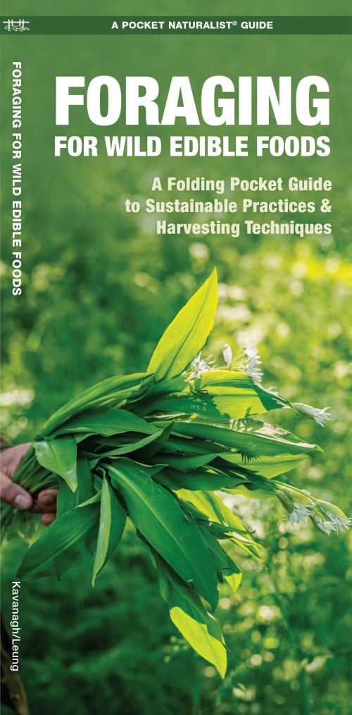Foraging for Wild Edible Foods