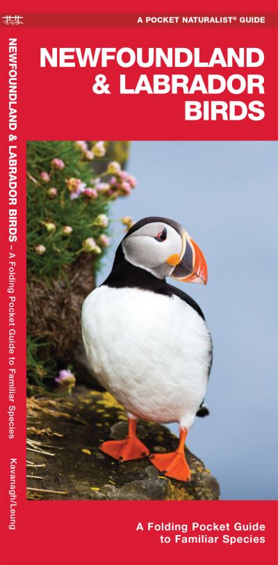 Newfoundland & Labrador Birds