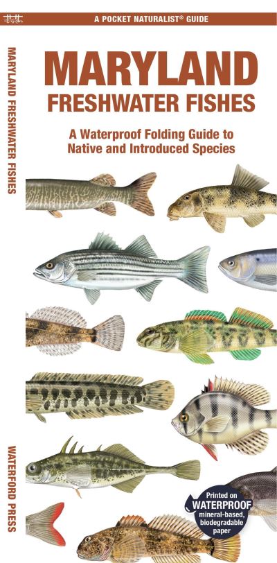 Maryland Freshwater Fishes