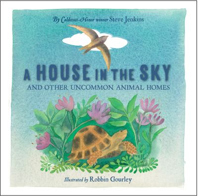 House in the Sky, A