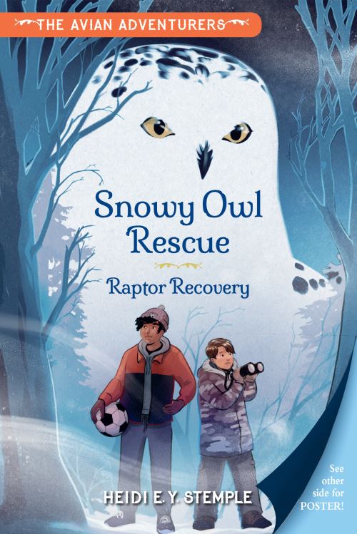 Snowy Owl Rescue