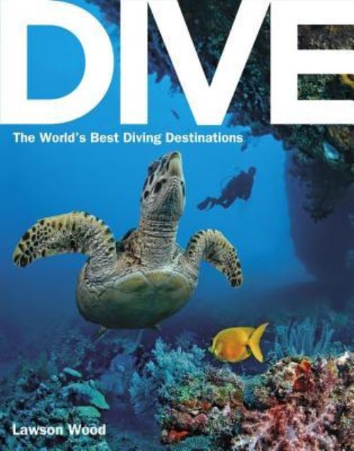 Dive