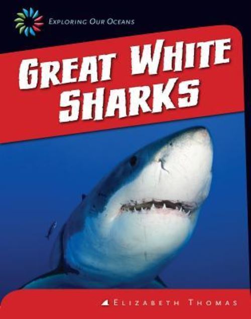 Great White Sharks
