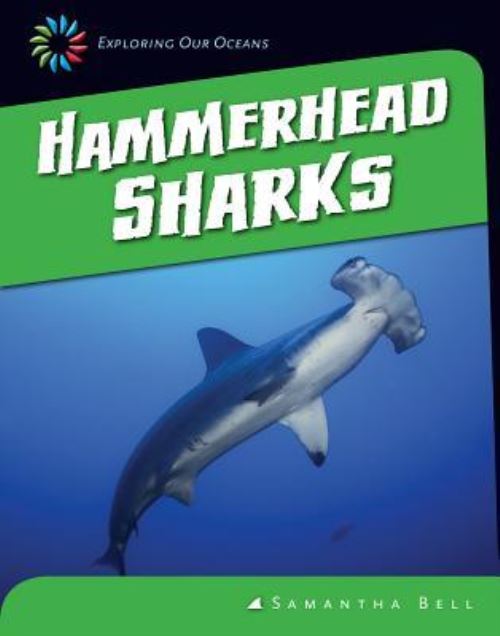 Hammerhead Sharks