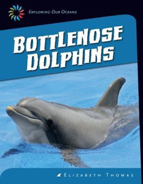 Bottlenose Dolphins