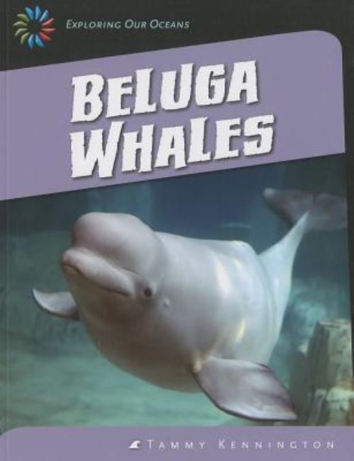 Beluga Whales