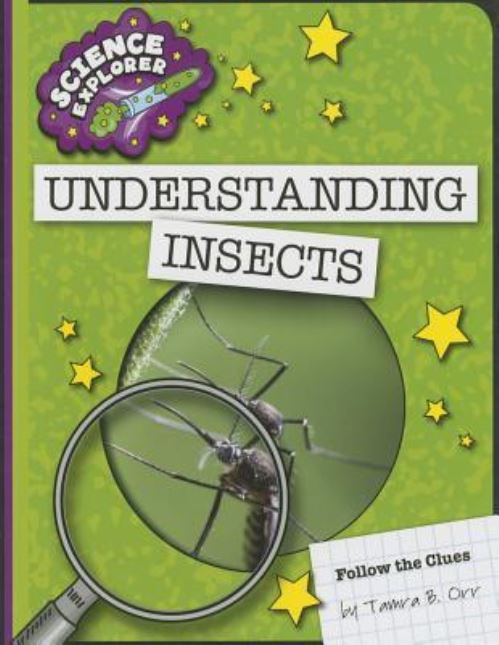 Understanding Insects
