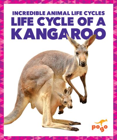 Life Cycle of a Kanagroo