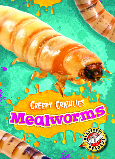 Mealworms