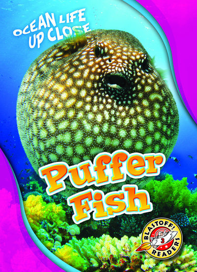 Puffer Fish