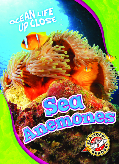 Sea Anemones