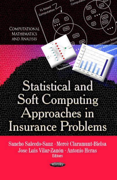 Statistical and Soft Computing Approaches in Insurance Problems