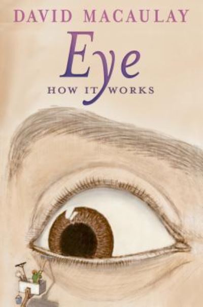 Eye
