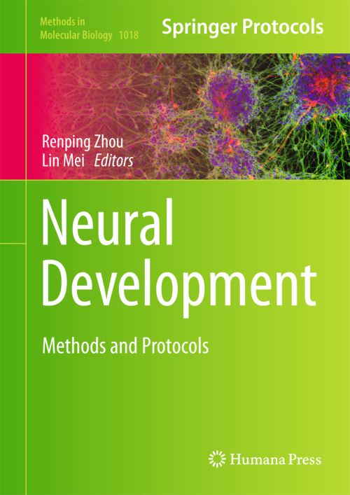 Neural Development