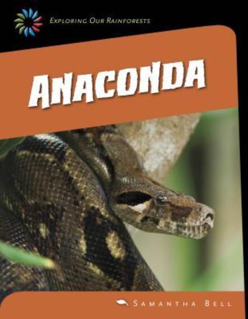 Anaconda