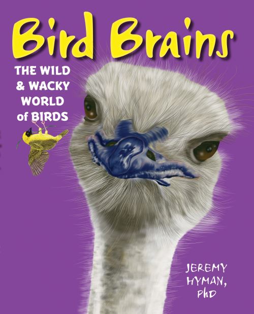 Bird Brains