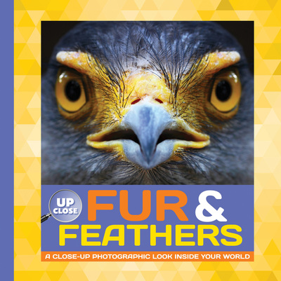 Fur & Feathers
