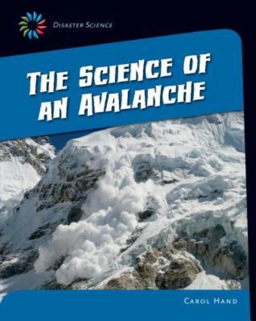 The Science of an Avalanche