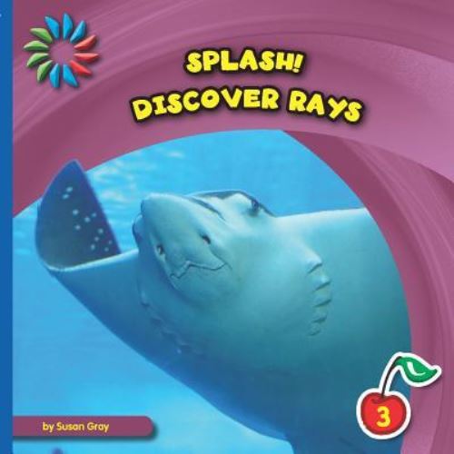 Discover Rays