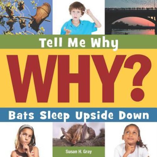 Bats Sleep Upside Down