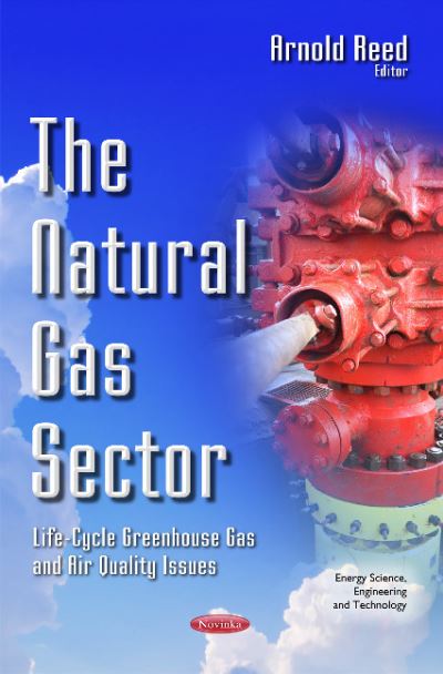 The Natural Gas Sector