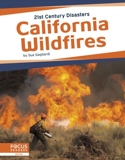 California Wildfires. Paperback