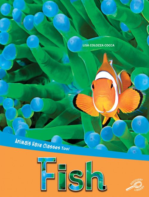 Fish