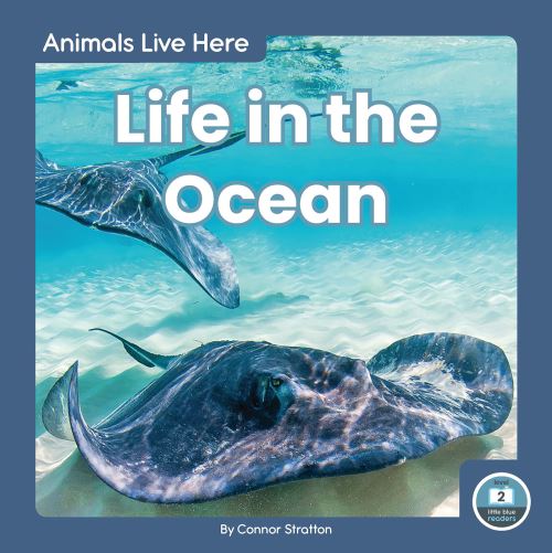 Life in the Ocean. Paperback
