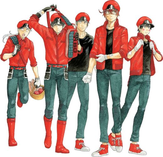 Cells at Work! 6 Code Black