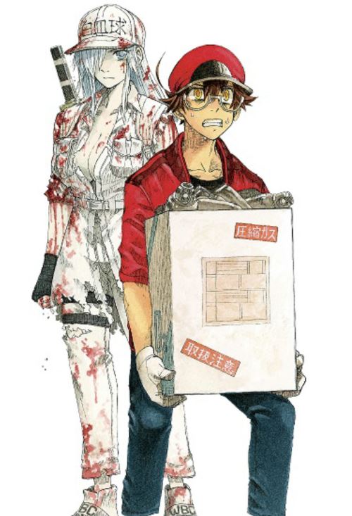Cells at Work! 8