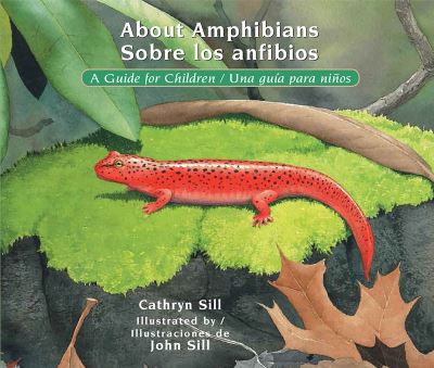 About Amphibians