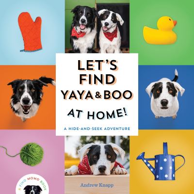 Let's Find Yaya & Boo at Home!