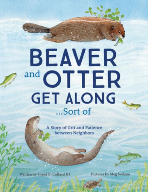 Beaver and Otter Get Along...sort Of