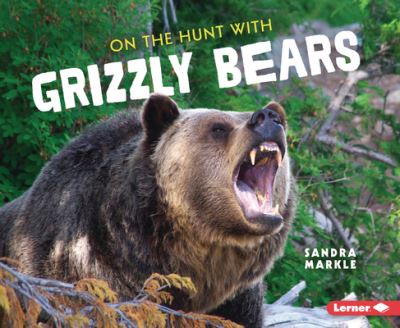 On the Hunt With Grizzly Bears