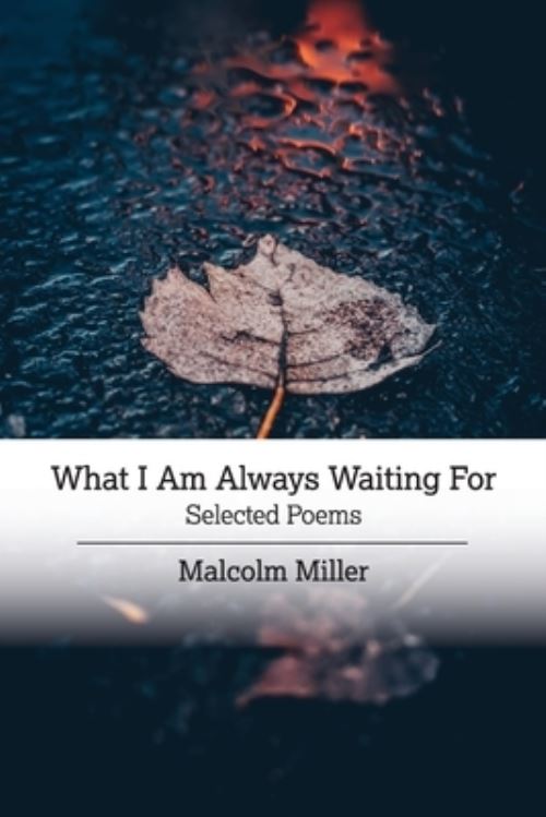 What I Am Always Waiting For