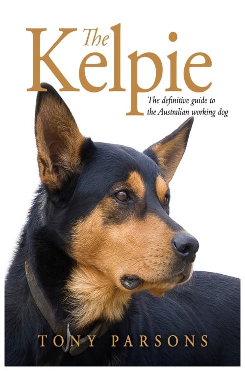 Kelpie