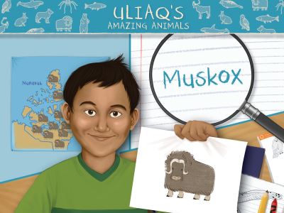 Muskox