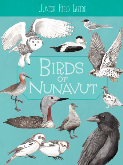 Birds of Nunavut