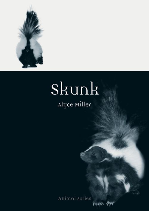 Skunk