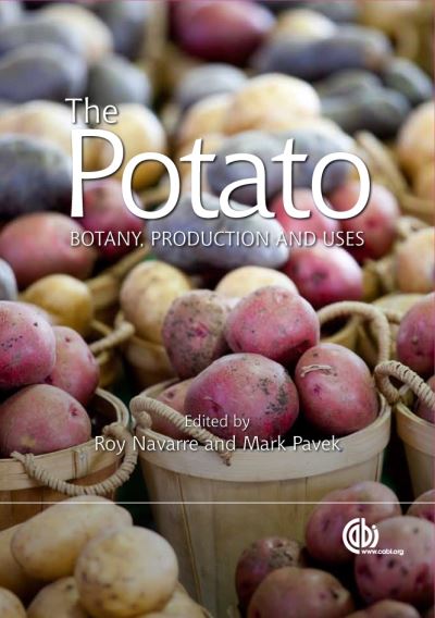The Potato
