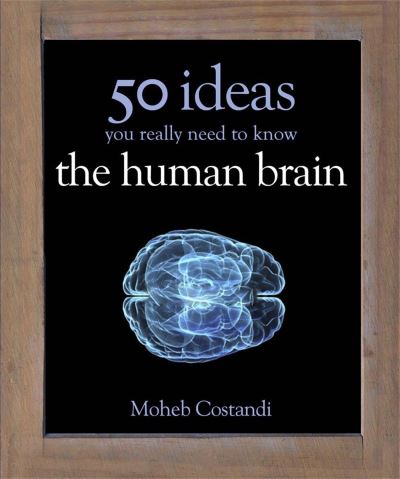 The Human Brain